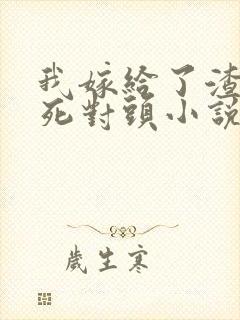 我嫁给了渣男的死对头小说免费阅读