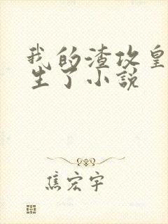 我的渣攻皇上重生了小说