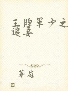 王牌军少之特战追妻