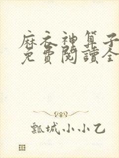 麻衣神算子小说免费阅读全文在线