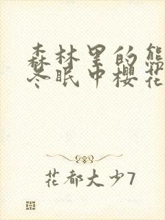 森林里的熊先生冬眠中樱花动漫全集