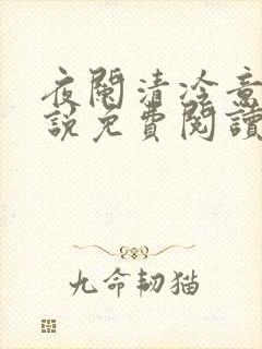 夜阑清冷意欢小说免费阅读