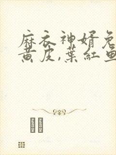 麻衣神婿免费陈黄皮,叶红鱼