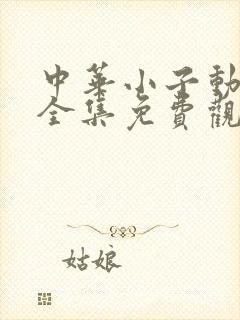 中华小子动画片全集免费观看