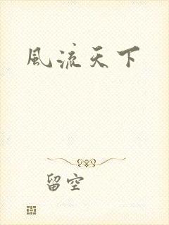风流天下封面