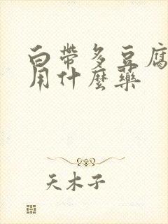 白带多豆腐渣状用什么药