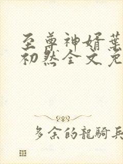 至尊神婿叶辰萧初然全文免费