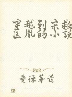 穿越到宋救了赵匡胤的小说