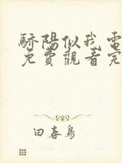 骄阳似我电视剧免费观看完整版29集封面