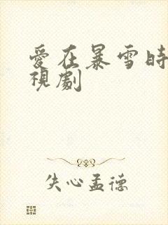 爱在暴雪时分电视剧