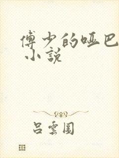 傅少的哑巴新妻 小说封面