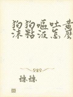 狗狗呕吐黄水泡沫粘液怎么办