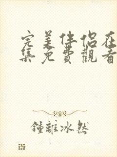 完美伴侣在线全集免费观看电视剧封面