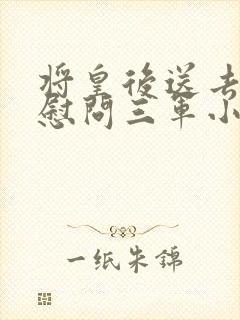 将皇后送去军营慰问三军小说封面