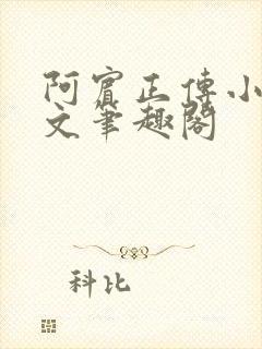 阿宾正传小说全文笔趣阁封面