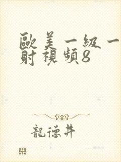 欧美一级一片内射视频8