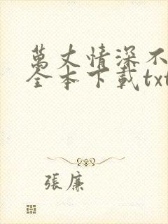 万丈情深不及他全本下载txt