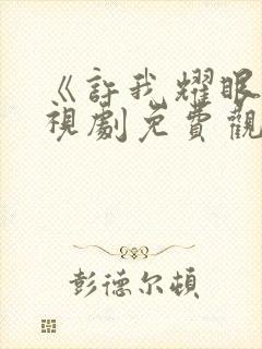 《许我耀眼》电视剧免费观看全集