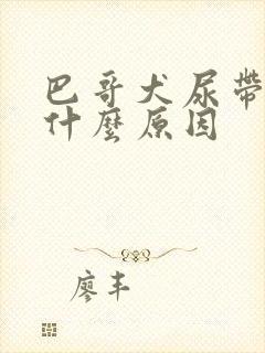 巴哥犬尿带血是什么原因