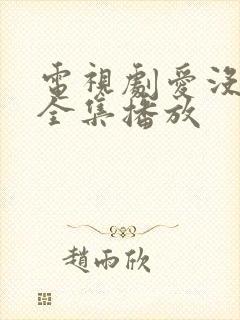 电视剧爱没有错全集播放