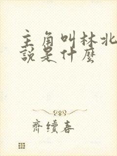 主角叫林北的小说是什么