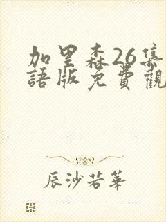 加里森26集国语版免费观看