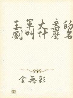 王军大案的电视剧叫什么名字