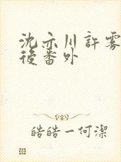 沈亦川许雾结局后番外封面