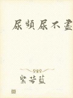 尿频尿不尽尿疼