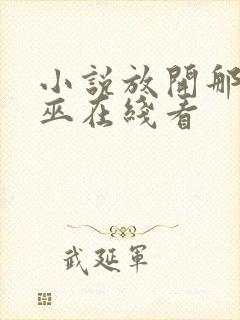 小说放开那个女巫在线看