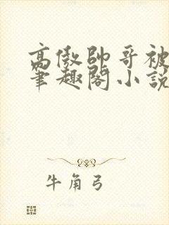 高傲帅哥被催眠笔趣阁小说