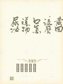 尿道口流黄色分泌物怎么回事封面