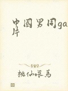 中国男同gay片封面