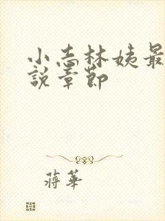 小志林姨最新小说章节