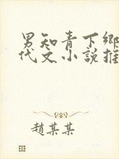 男知青下乡的年代文小说推荐封面