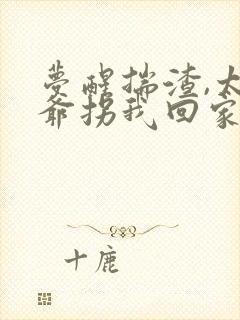 梦醒揣渣,太子爷拐我回家短剧免费观看全集