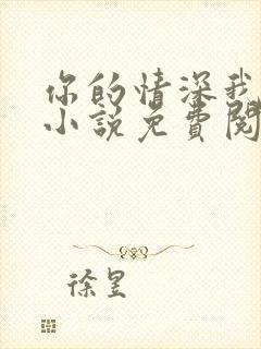 你的情深我不配小说免费阅读