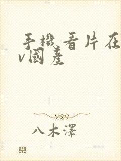 手机看片在线av国产