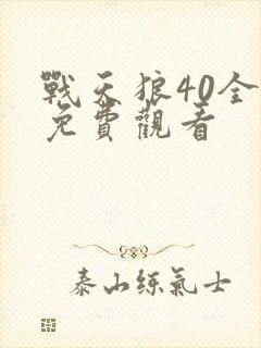 战天狼40全集免费观看