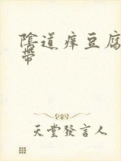 阴道痒豆腐渣白带