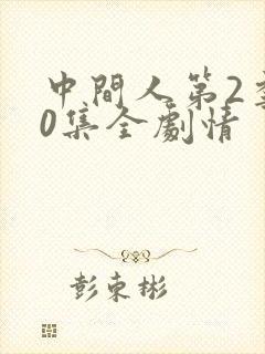 中间人第2季40集全剧情