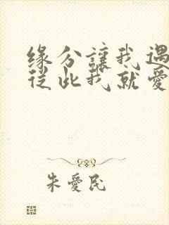 缘分让我遇见你从此我就爱上你