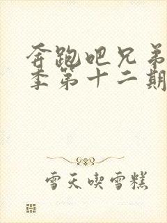 奔跑吧兄弟第4季第十二期