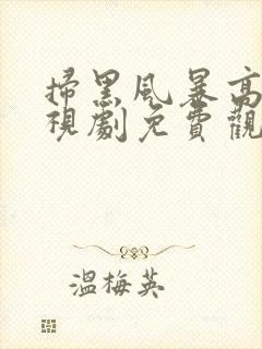 扫黑风暴高清电视剧免费观看