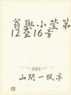 翁与小莹第十部12至16章