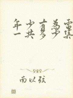 年少有为电视剧一共多少集