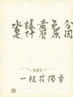 水样黄色分泌物是什么原因