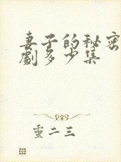 妻子的秘密电视剧多少集