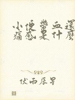 小便带血还有刺痛感是什么原因