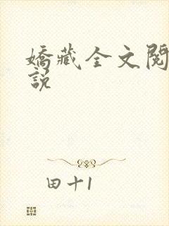 娇藏全文阅读小说